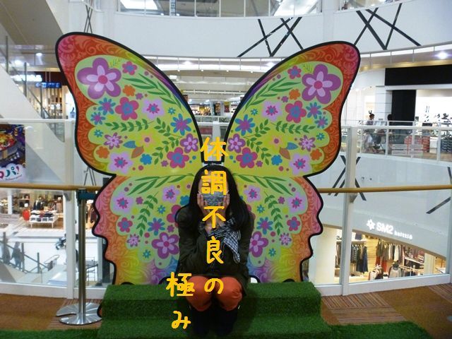 d0137326_14305633.jpg