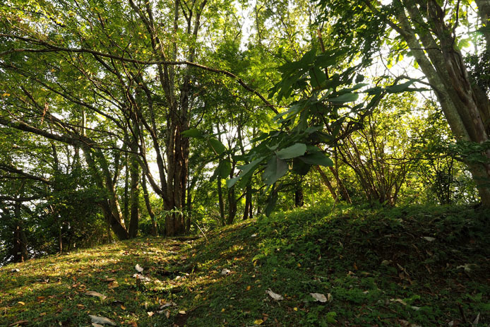 d0149245_11173605.jpg