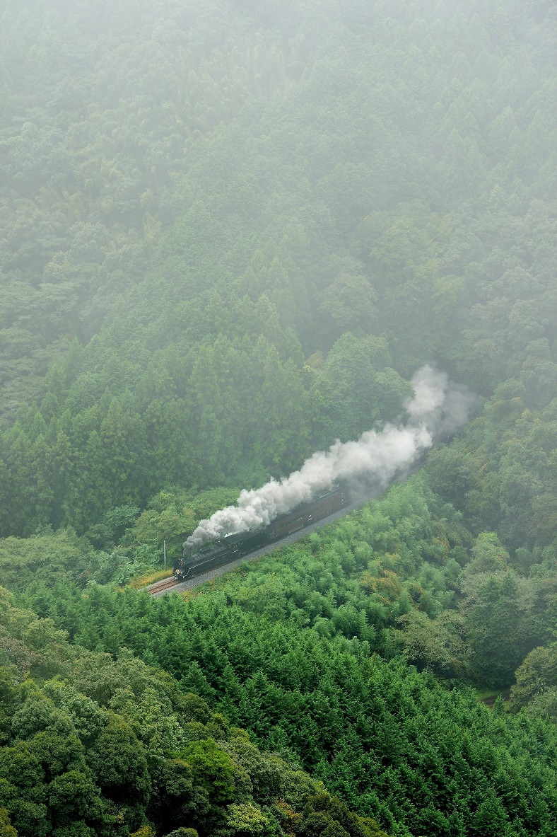 d0336159_16025374.jpg