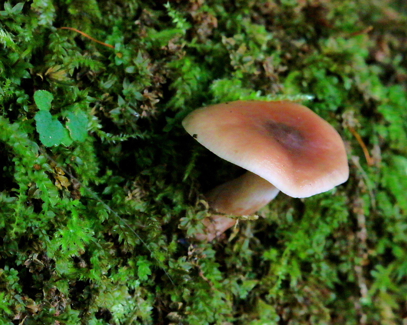 c0305565_18020428.jpg