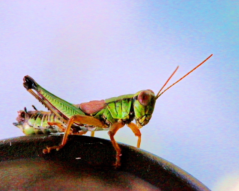 c0305565_18034386.jpg