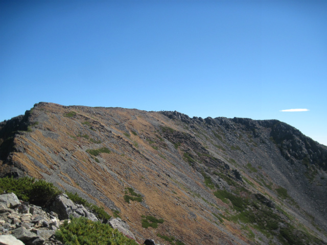 c0219866_08312304.jpg