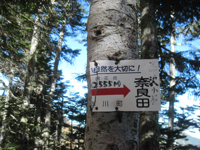 c0219866_08433939.jpg