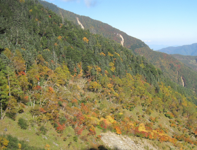 c0219866_08453764.jpg