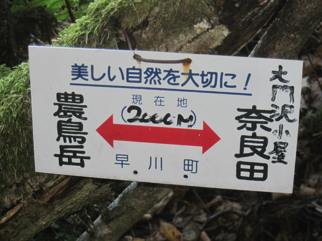 c0219866_08474707.jpg