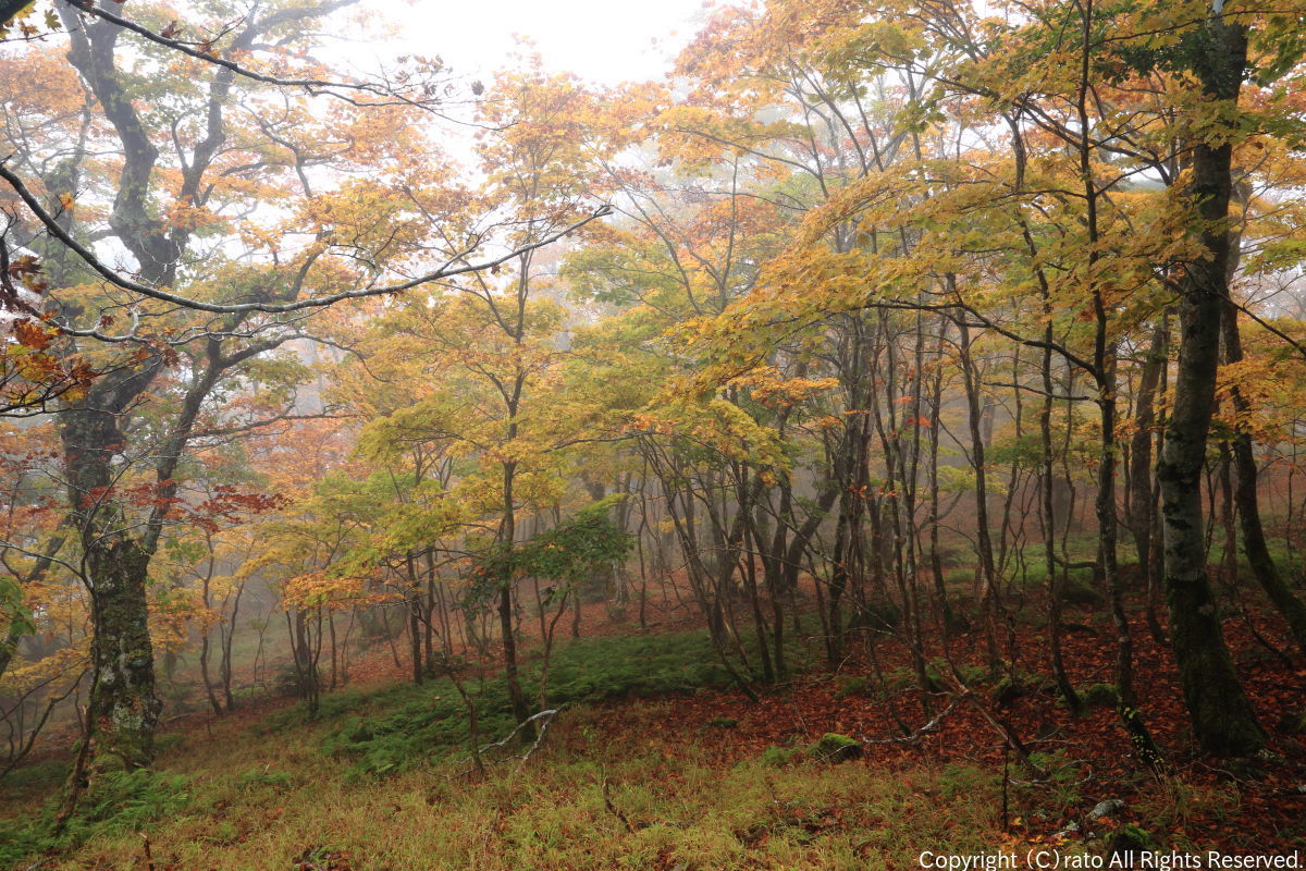 f0236776_21342315.jpg