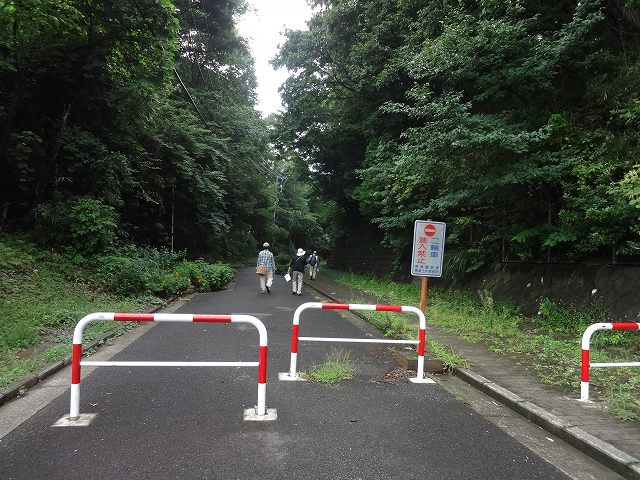 f0017185_1049973.jpg