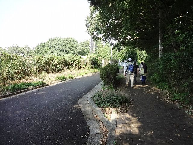 f0017185_10502580.jpg