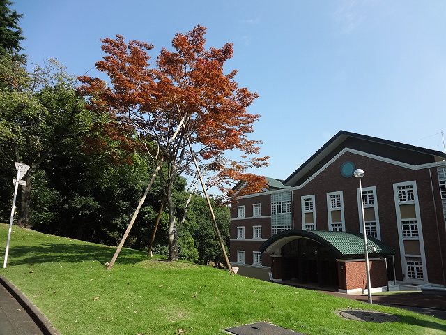f0017185_10571735.jpg