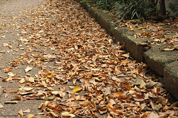 a0278809_10455399.jpg