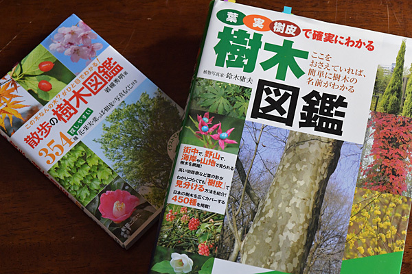 a0278809_10470899.jpg