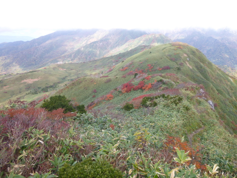 d0170615_10252015.jpg