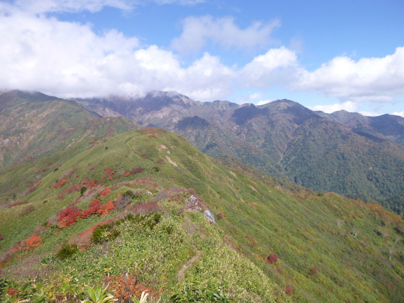 d0170615_10255530.jpg