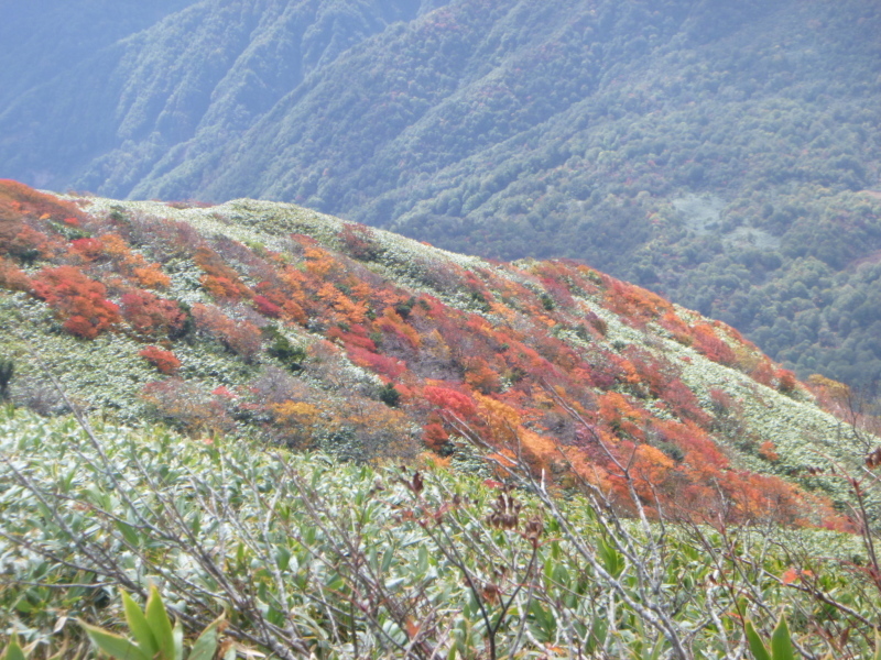 d0170615_10261151.jpg