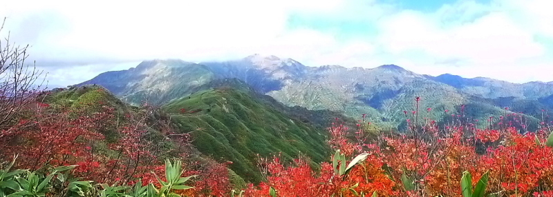 d0170615_10261904.jpg