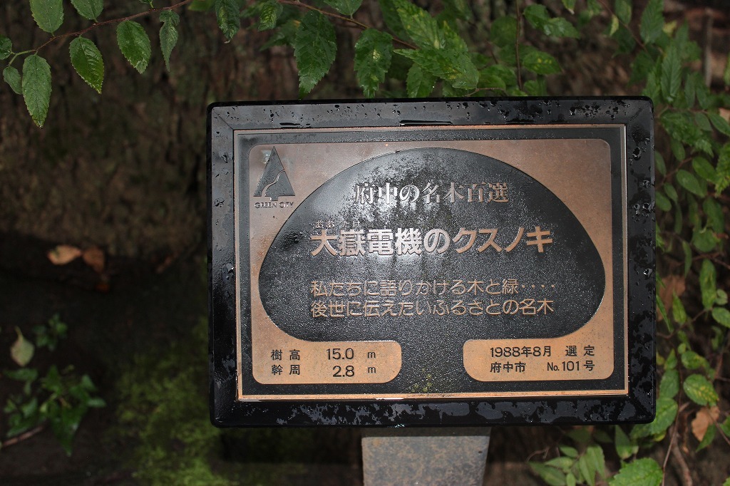 a0209630_20210736.jpg
