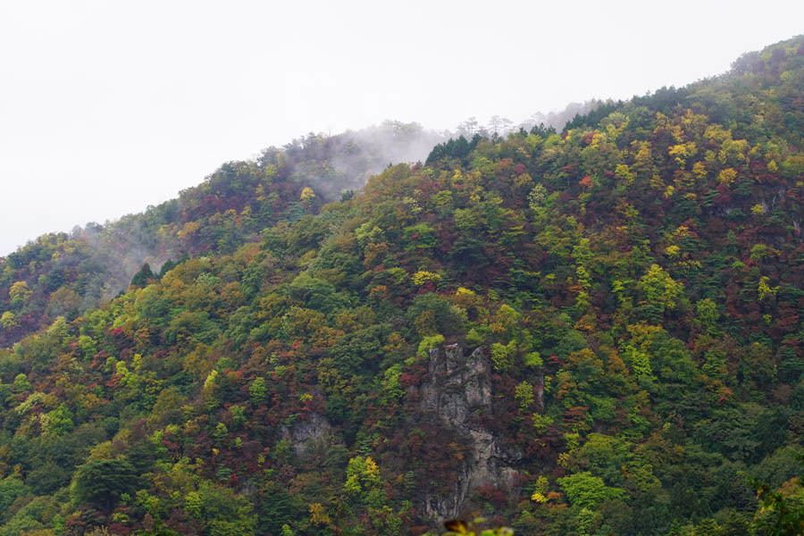 a0324049_22264220.jpg