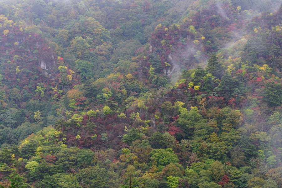 a0324049_22265658.jpg