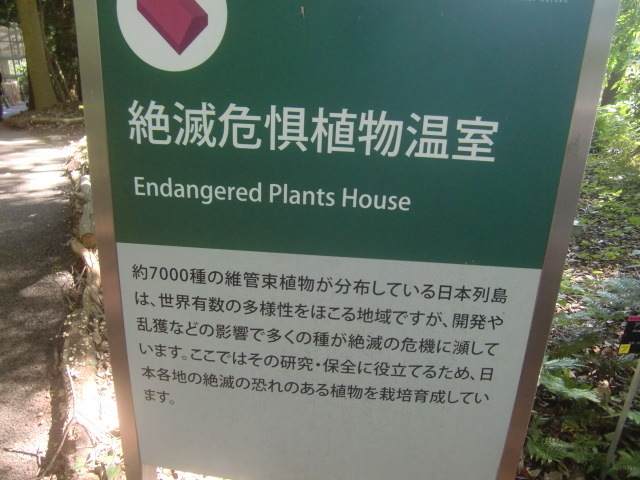 f0329849_18041123.jpg