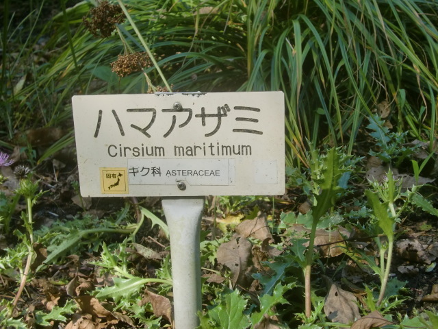 f0329849_18064502.jpg