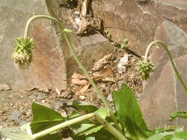 f0329849_18083820.jpg