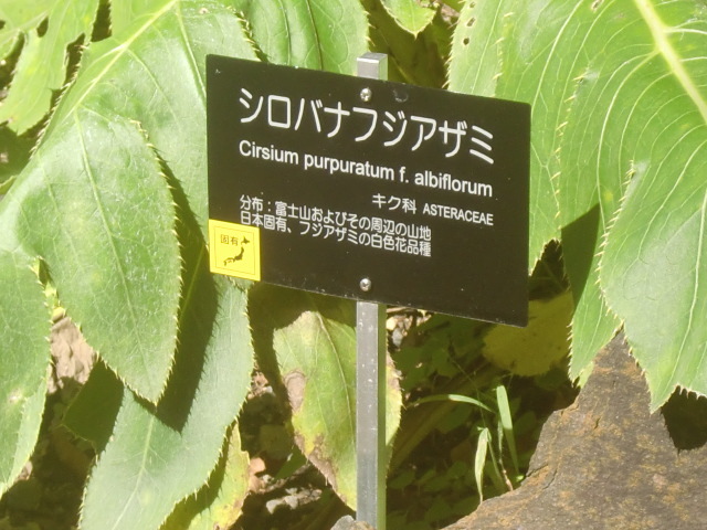 f0329849_18085503.jpg