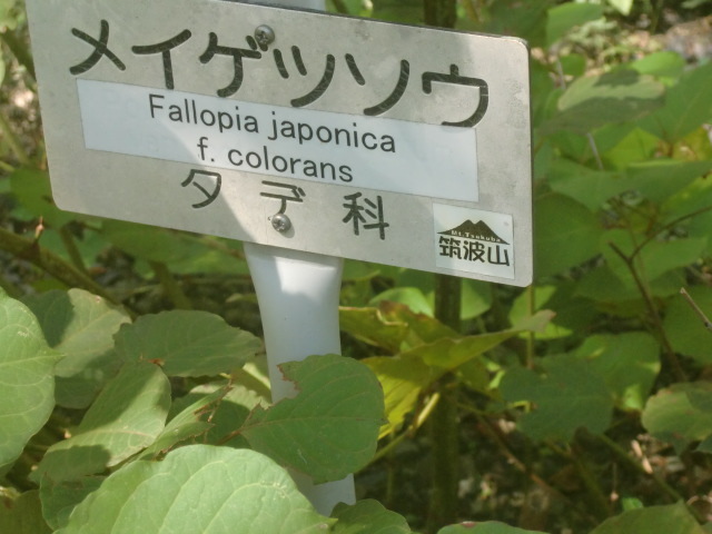 f0329849_18095156.jpg