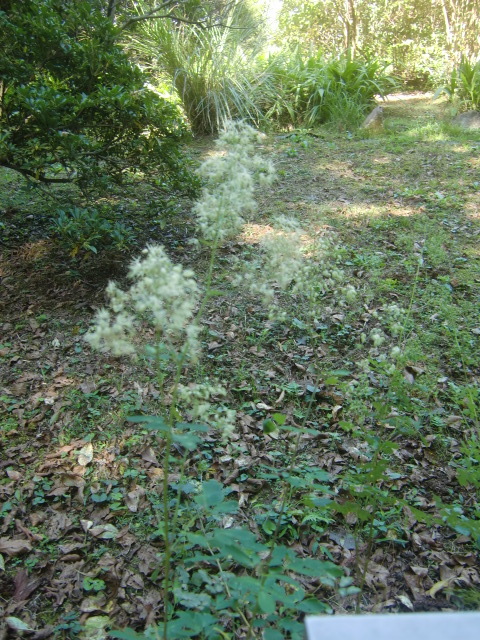 f0329849_18111617.jpg
