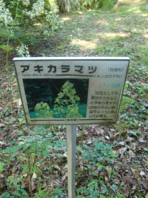 f0329849_18114760.jpg