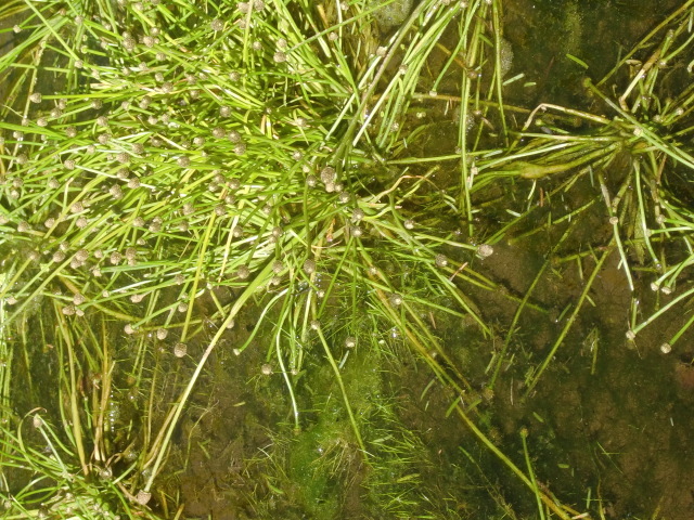 f0329849_18181735.jpg