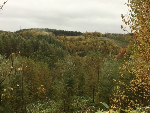 e0326953_22320176.jpg