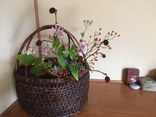 a0152454_08140525.jpeg