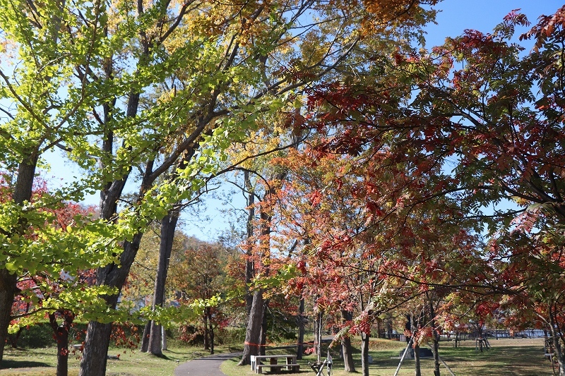 b0250154_20311493.jpg