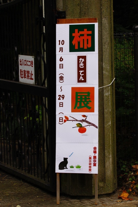 a0248459_15290186.jpg