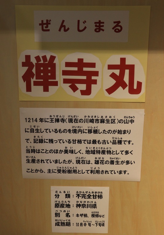 a0248459_15302482.jpg