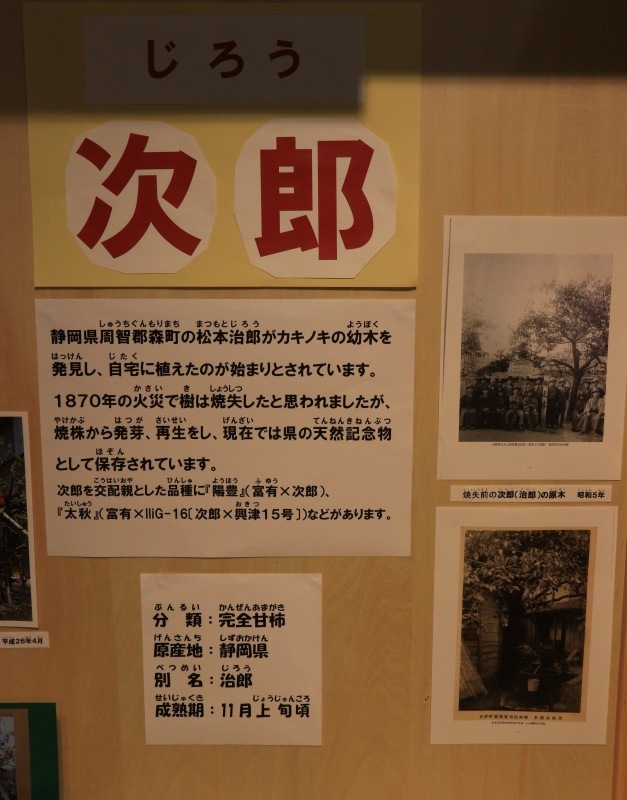 a0248459_15325411.jpg