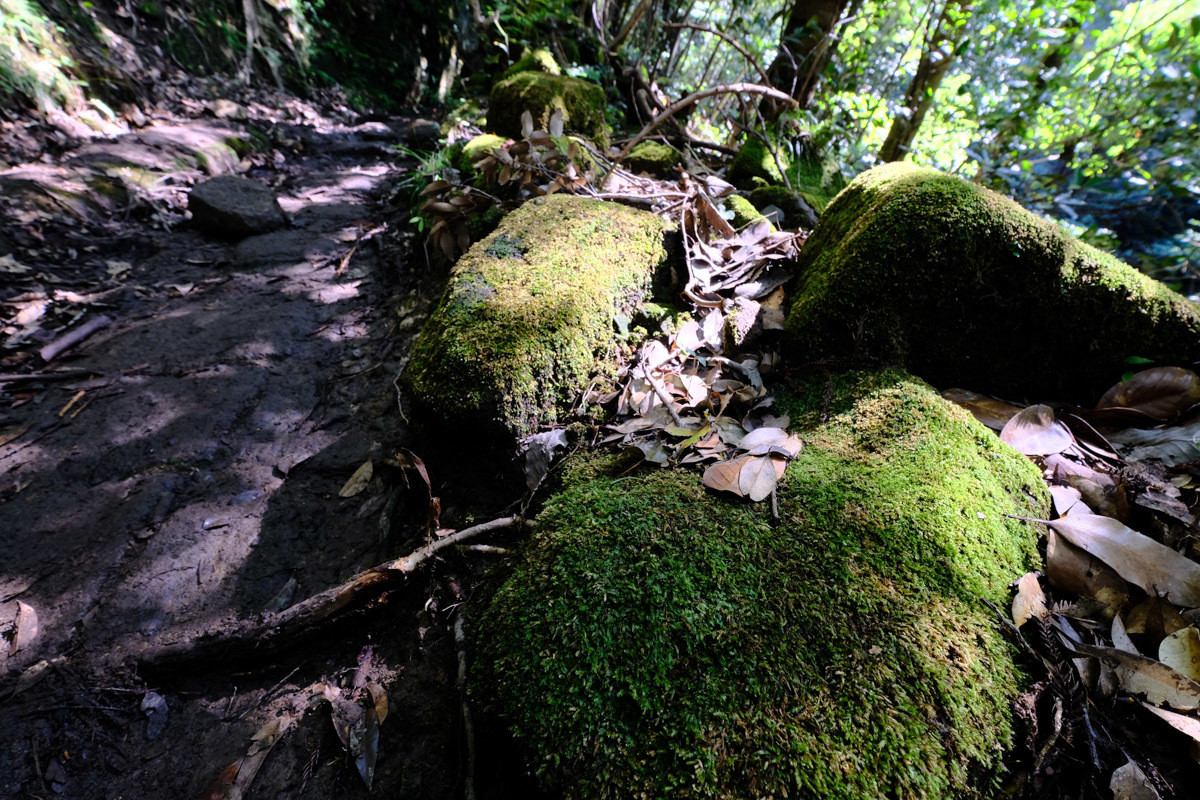 c0084666_20525127.jpg