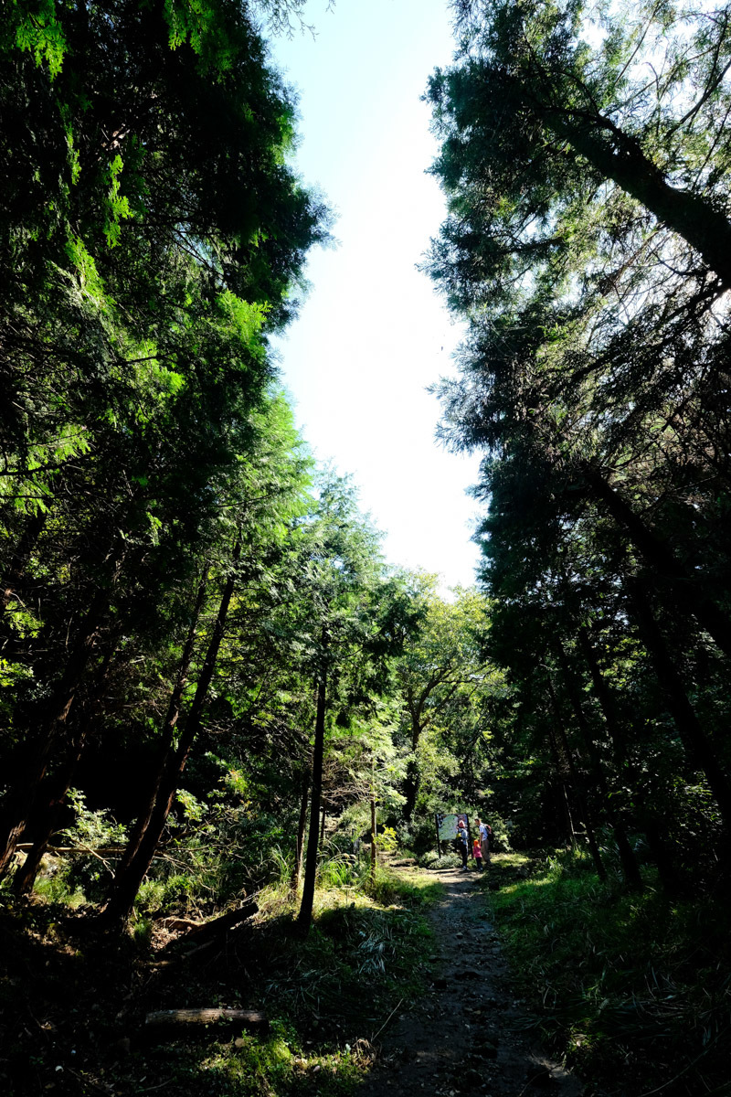 c0084666_20525132.jpg