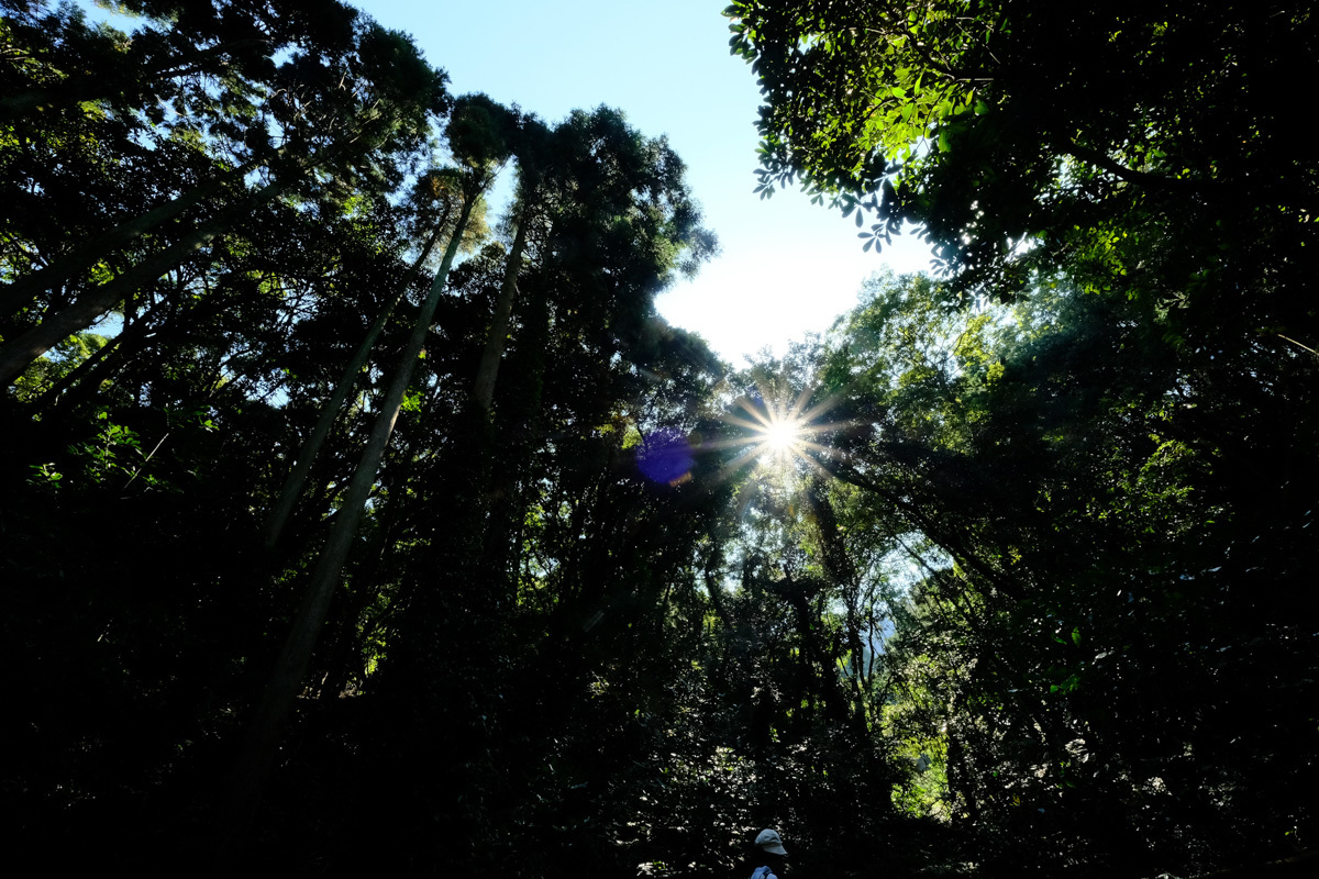 c0084666_20525286.jpg