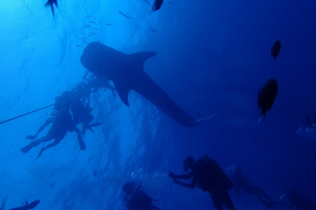 c0039073_23182785.jpg