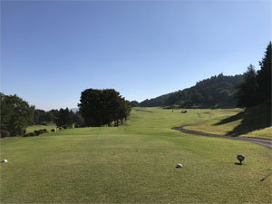 d0035878_19534188.jpg