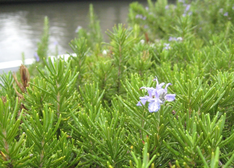 b0057679_07554863.jpg