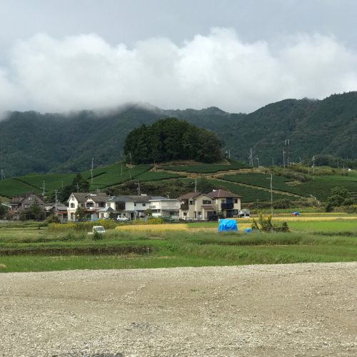d0204189_22564699.jpg