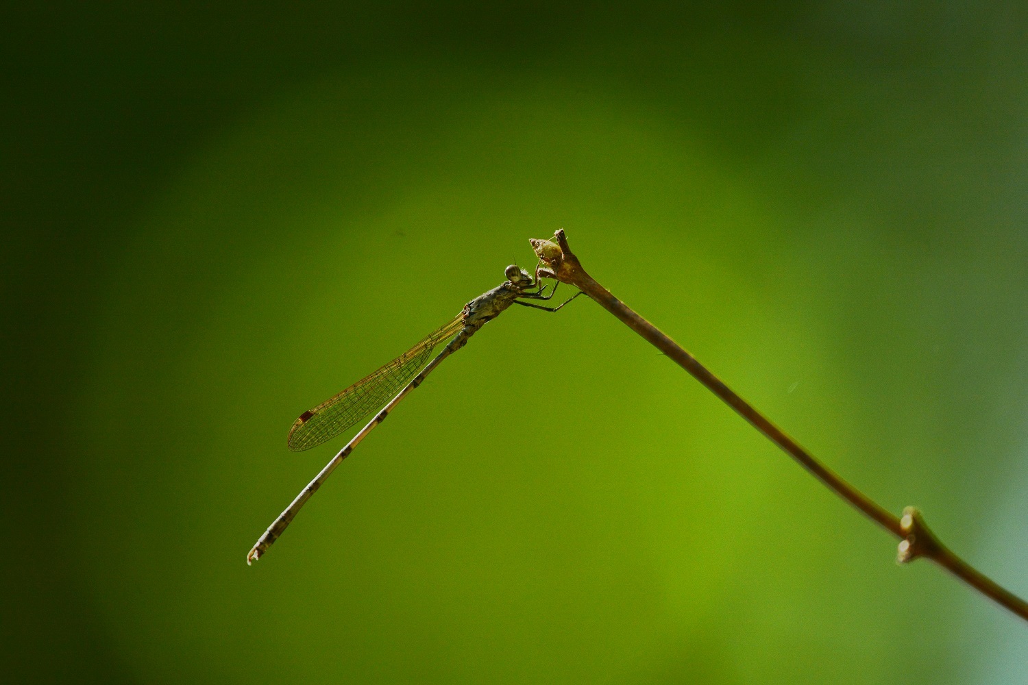 e0353790_07313398.jpg