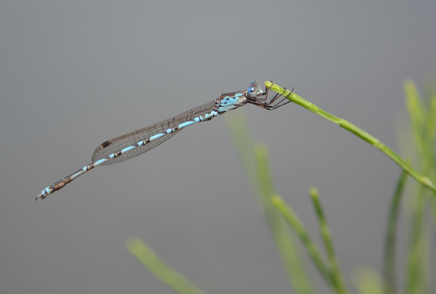 e0353790_22254723.jpg