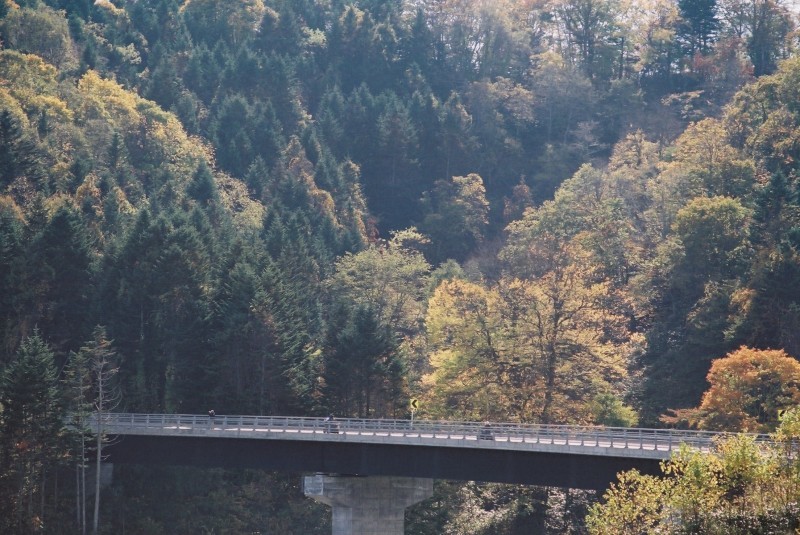 f0362725_13465174.jpg