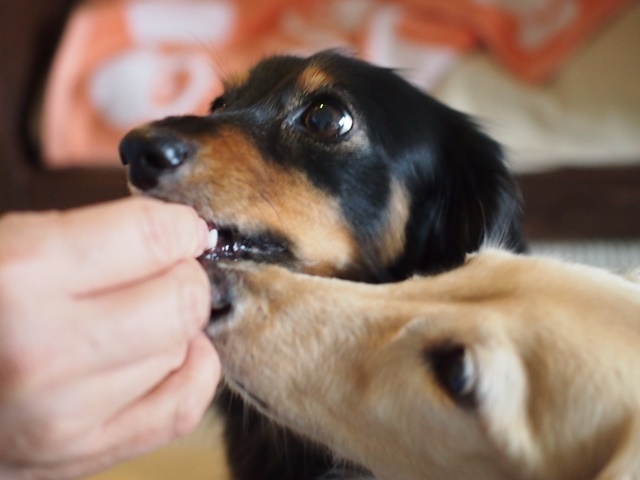 c0117831_14292469.jpg