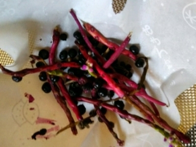 c0330749_16142439.jpg