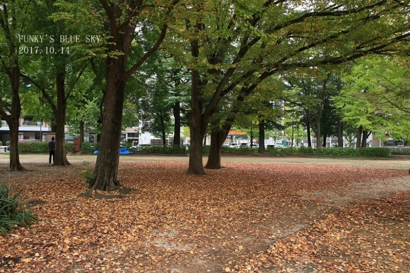 c0145250_11210965.jpg