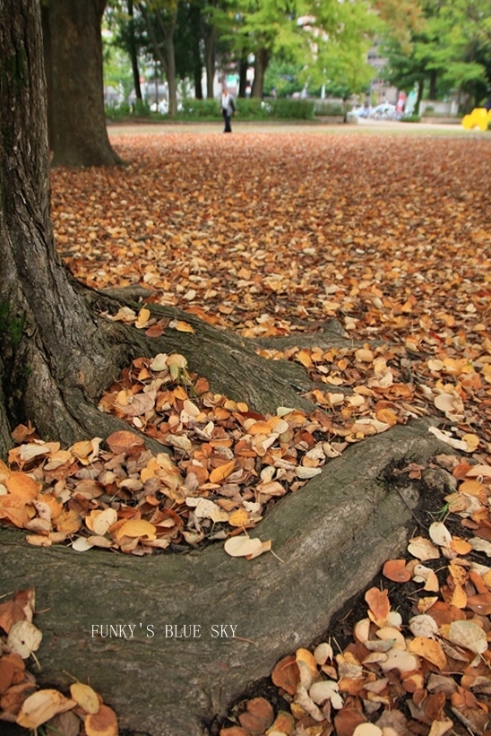 c0145250_11211471.jpg